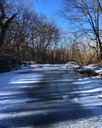 Bare trees on snow covered landscape