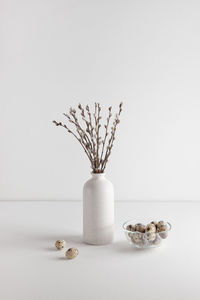 Close-up of white flowers in vase on table