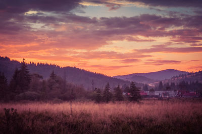 Scenic view of landscape against sky