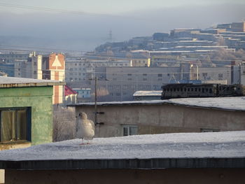 View of buildings in city