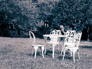 Empty bench on grassy field