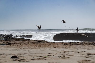 Seagulls flying over beach against sky