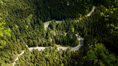 Winding road from high mountain pass, in summer time. aerial view by drone . romania