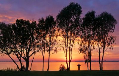 Silhouette person standing by tree against orange sky