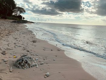 Scenic view of beach against sky