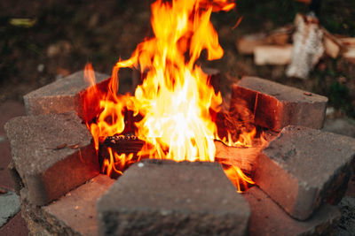 Bonfire on wooden log