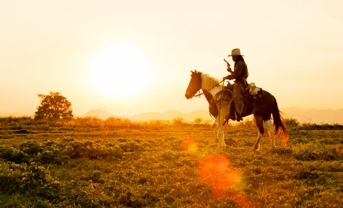 View of horse on field during sunset