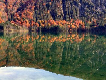 Scenic view of lake in forest during autumn