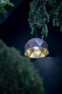 Illuminated pendant light hanging on tree at night