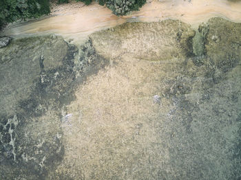 High angle view of water flowing through rocks