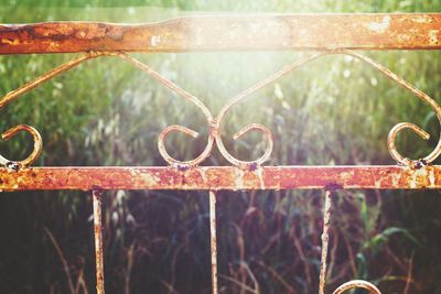 Close-up of metal fence