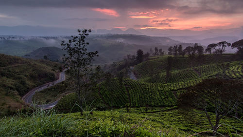 Scenic view of agricultural field against sky during sunset