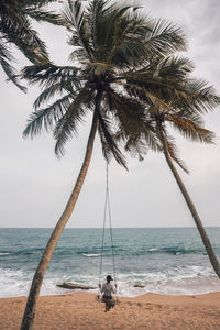 Palm trees on beach against sky