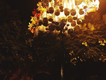 Close-up of flowers at night