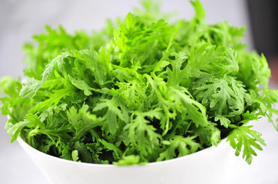 Close-up of green salad in bowl