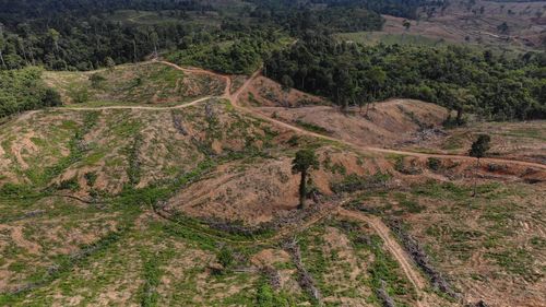 High angle view of road amidst trees in forest