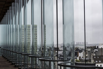 Row of trees in the dark