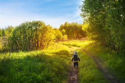 Rear view of person walking on footpath amidst trees on field