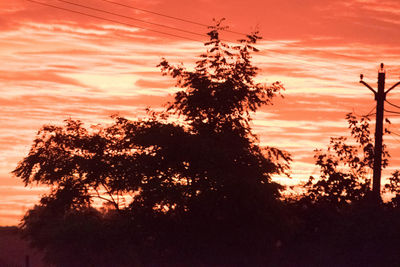 Silhouette trees against orange cloudy sky