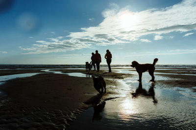 Silhouette people on beach against sky