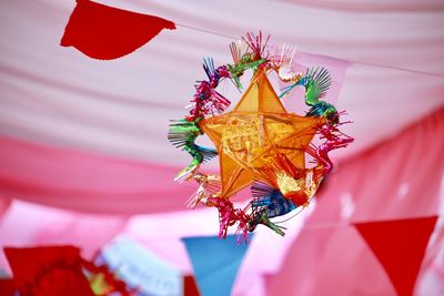 Close-up of insect on red flower