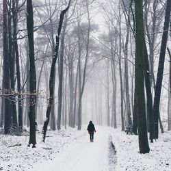 Rear view of people walking in forest