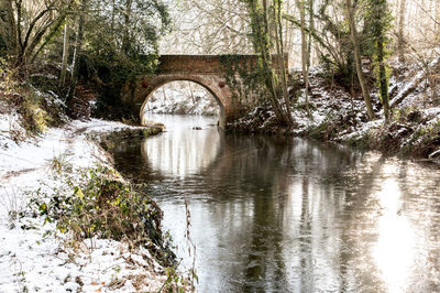 Arch bridge over river in forest