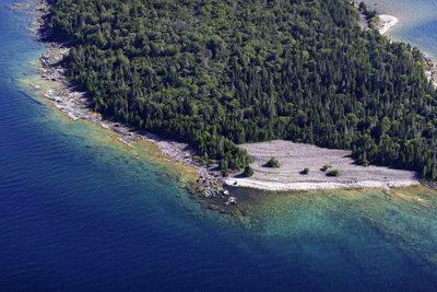 High angle view of trees by sea