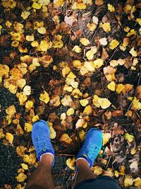 Low section of man standing on autumn leaves