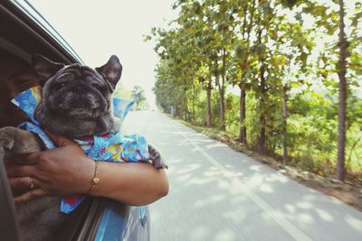 Close-up of woman with dog sitting in car