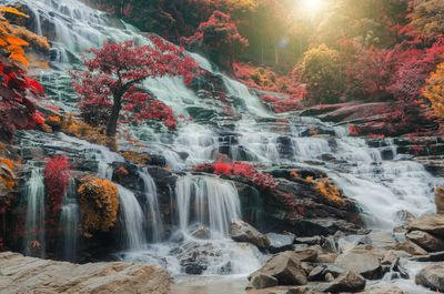 Scenic view of waterfall in forest during autumn