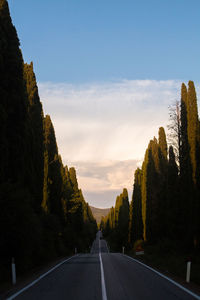 Road amidst trees against clear sky