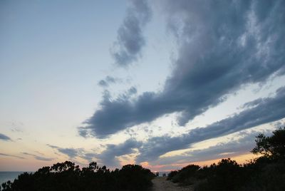 Low angle view of silhouette trees against sky during sunset