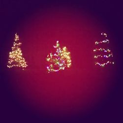 Low angle view of trees at night