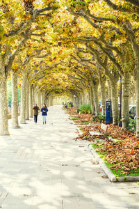 People walking on footpath in park during autumn