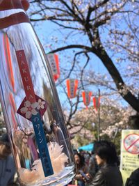 People hanging on tree by plants