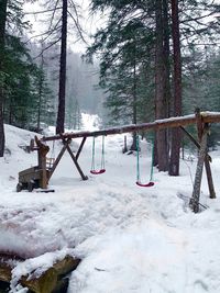 Snow covered field by trees in forest