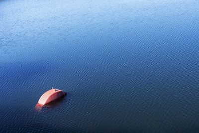 High angle view of red floating on sea