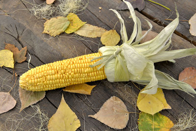 High angle view of yellow leaves on table