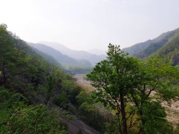 Scenic view of trees and mountains against sky