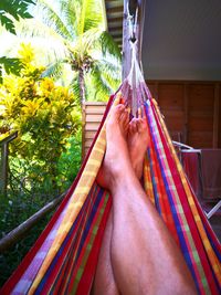 Low section of man relaxing on hammock