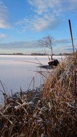 View of frozen lake