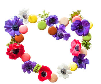 Close-up of multi colored flowers against white background