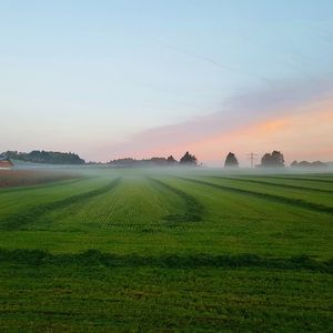 Scenic view of agricultural field against sky during sunset