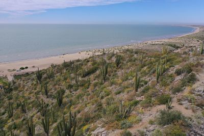 High angle view of sea against sky