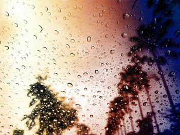 Raindrops on glass window