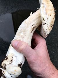 Close-up of man holding ice cream