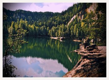 Scenic view of lake against trees on mountain