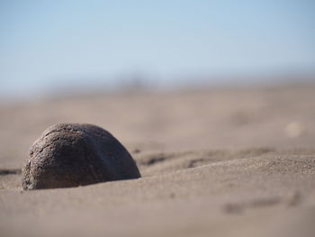 Surface level of sand on beach against sky