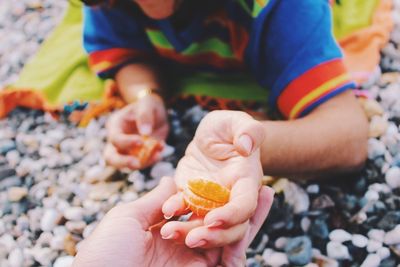 High angle view of friends eating orange fruit slices at pebble beach